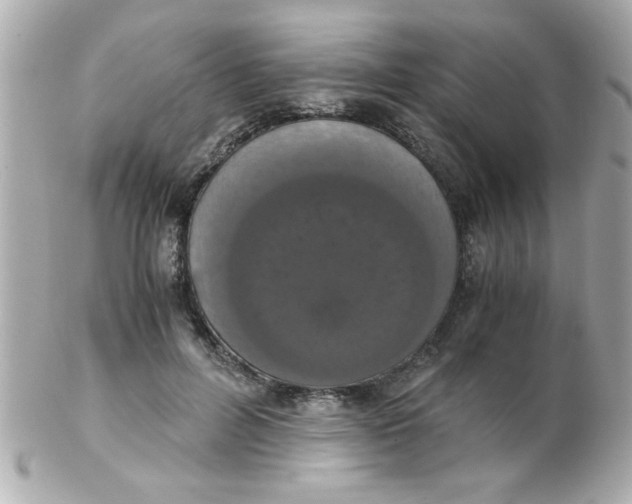 X0000102300600200808152019