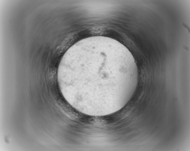 X0000102300601200808152019
