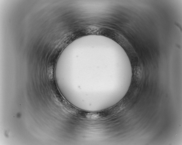 X0000102300602200808152019