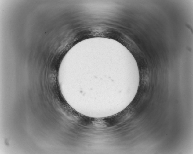 X0000102300603200808152019