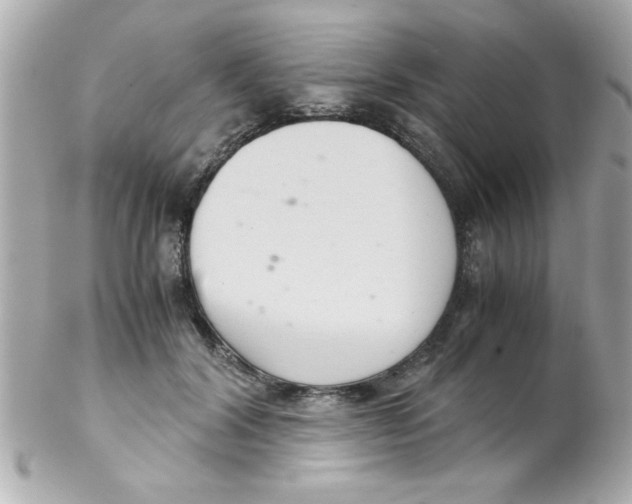 X0000102300604200808152019