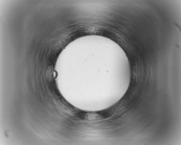 X0000102300605200808152019