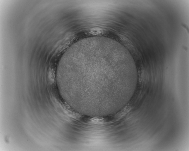X0000102300606200808152019