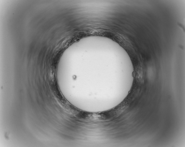 X0000102300607200808152019