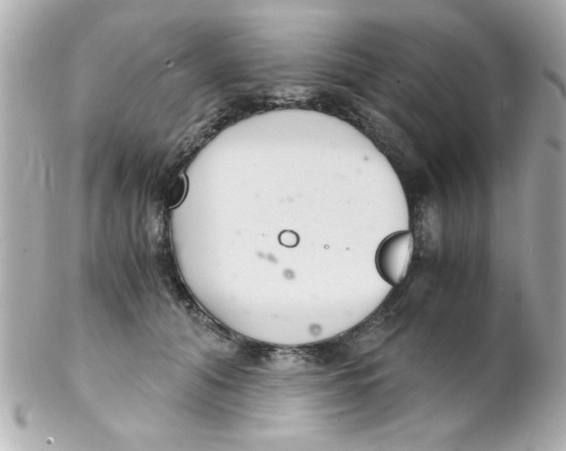 X0000102300608200808152019