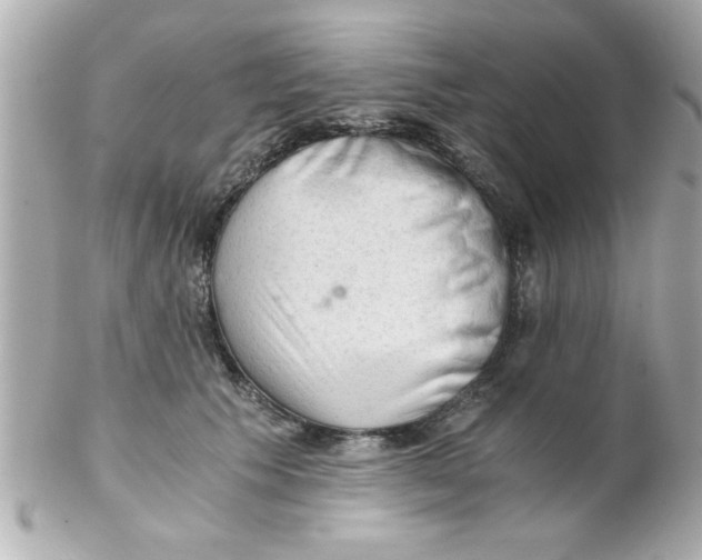 X0000102300609200808152019