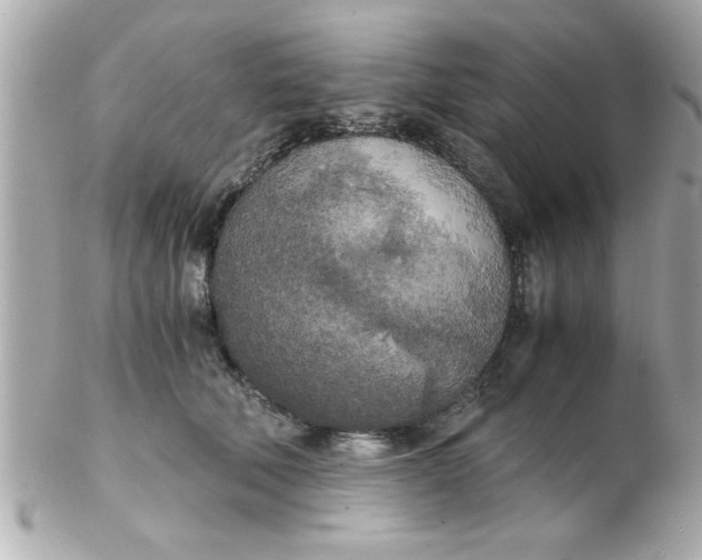 X0000102300610200808152019