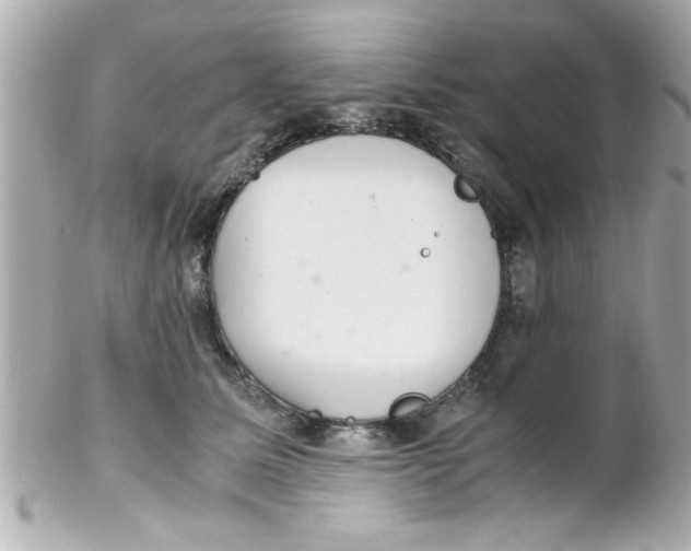 X0000102300611200808152019