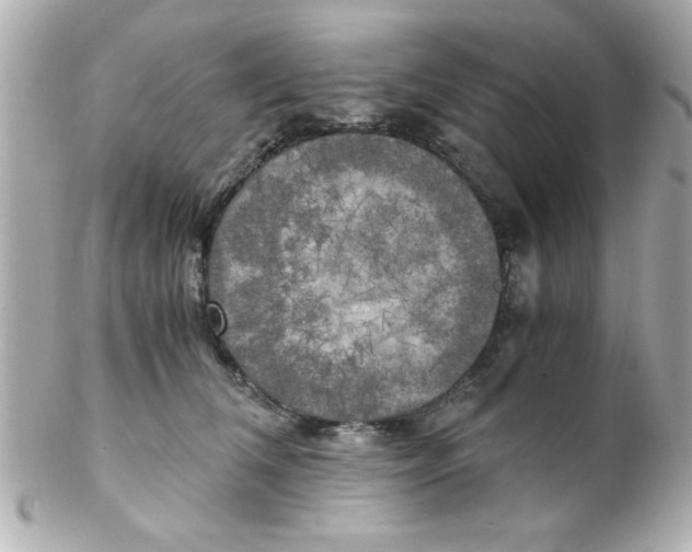 X0000102300612200808152019
