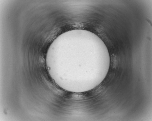 X0000102300614200808152019