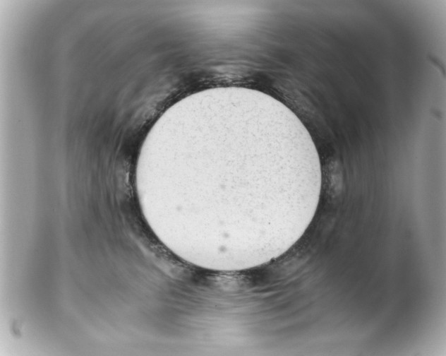 X0000102300615200808152019