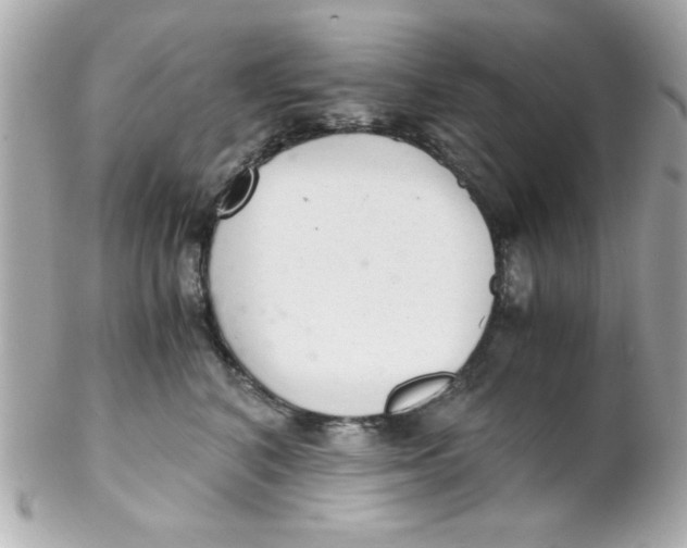 X0000102300616200808152019