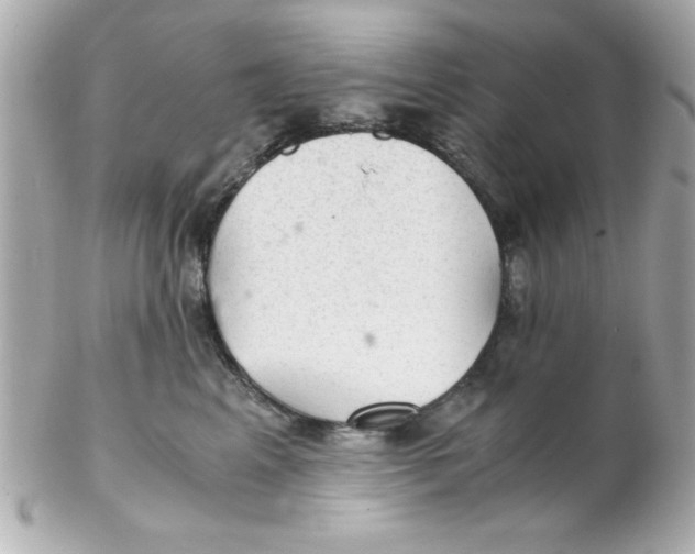 X0000102300617200808152019
