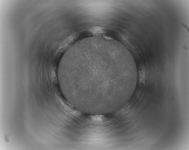 X0000102300618200808152019