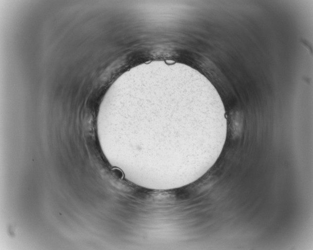 X0000102300619200808152019