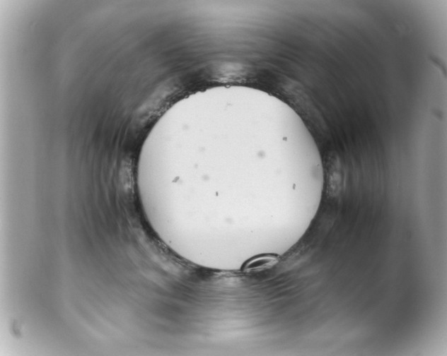 X0000102300620200808152019