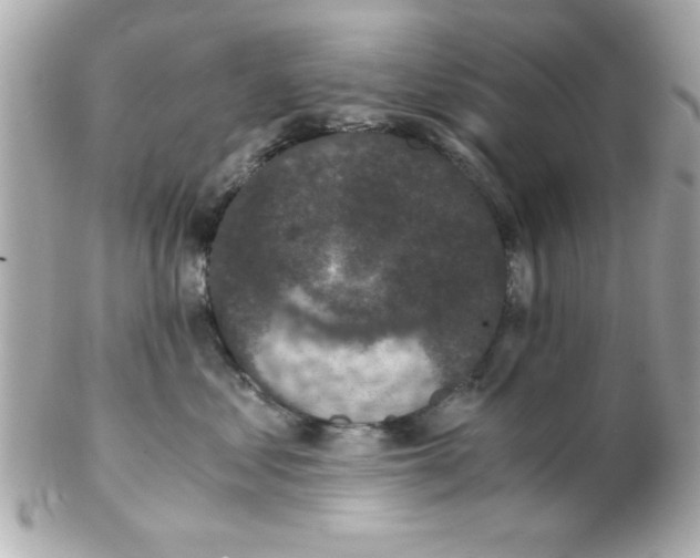 X0000102300621200808152019