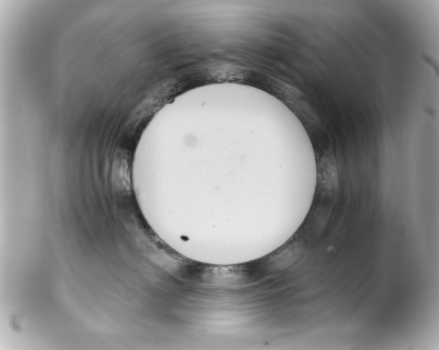 X0000102300622200808152019