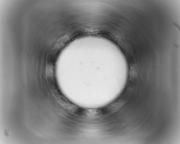 X0000102300623200808152019