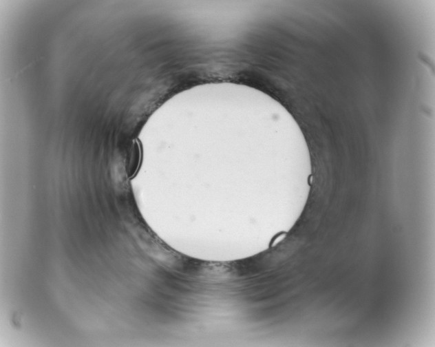 X0000102300624200808152019