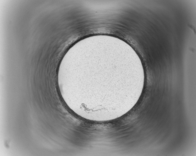 X0000102300625200808152018