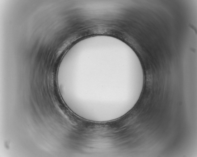 X0000102300626200808152018