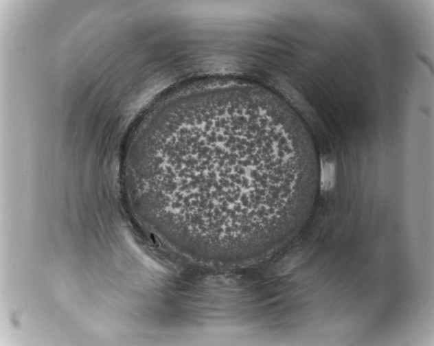 X0000102300627200808152018