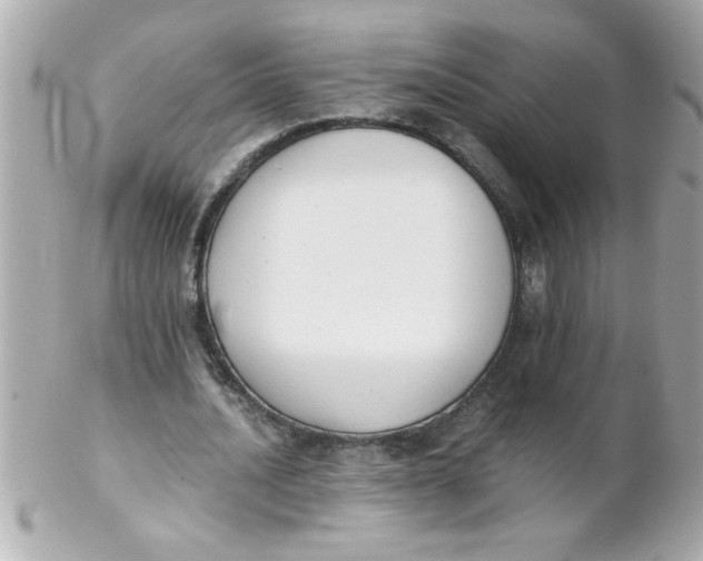 X0000102300628200808152018