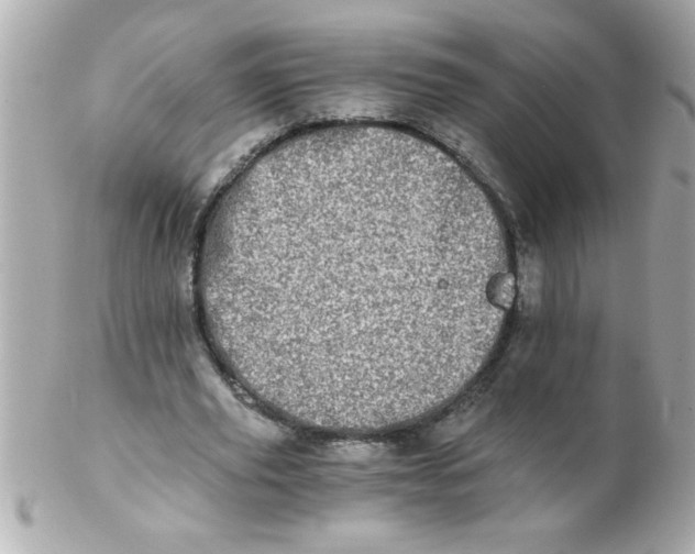 X0000102300629200808152018
