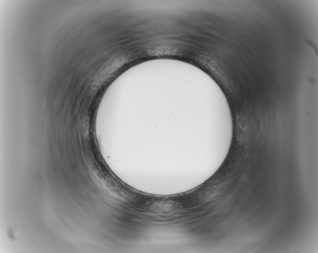 X0000102300631200808152018