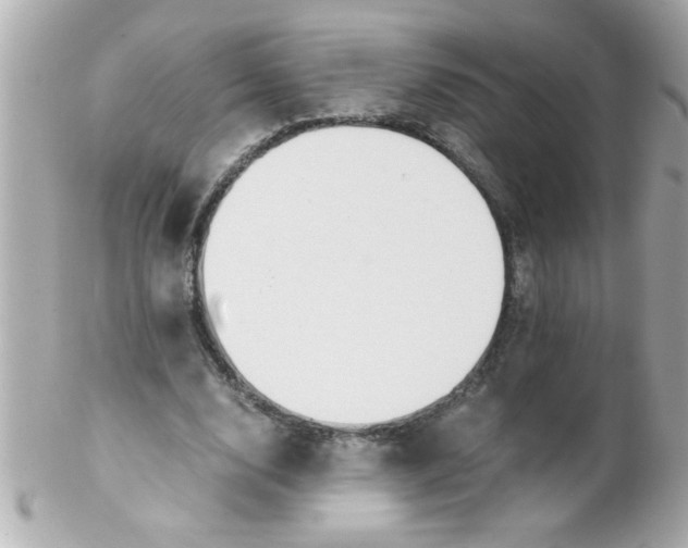 X0000102300632200808152018