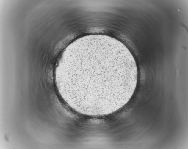 X0000102300633200808152018