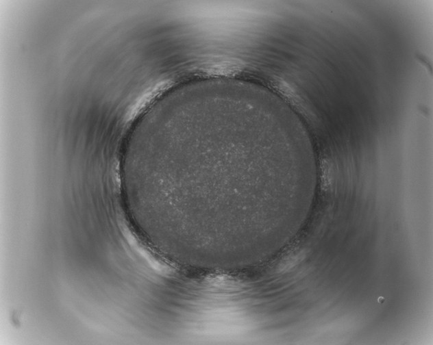 X0000102300634200808152018