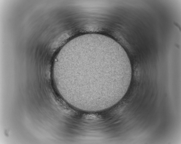 X0000102300635200808152018