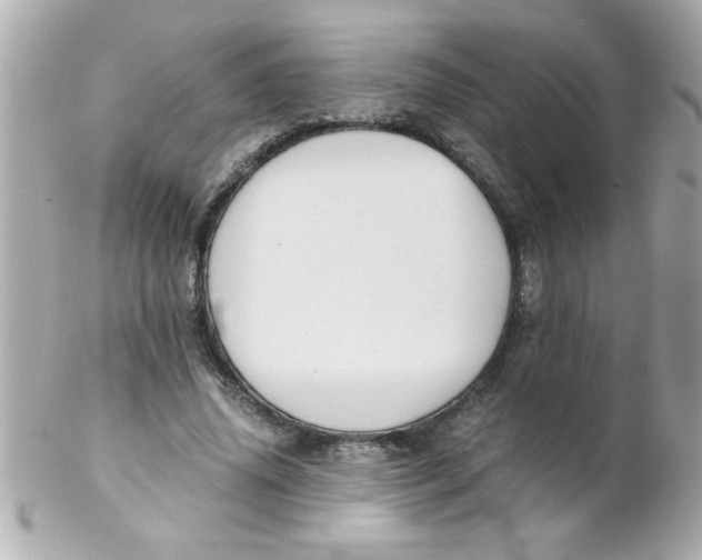 X0000102300636200808152018