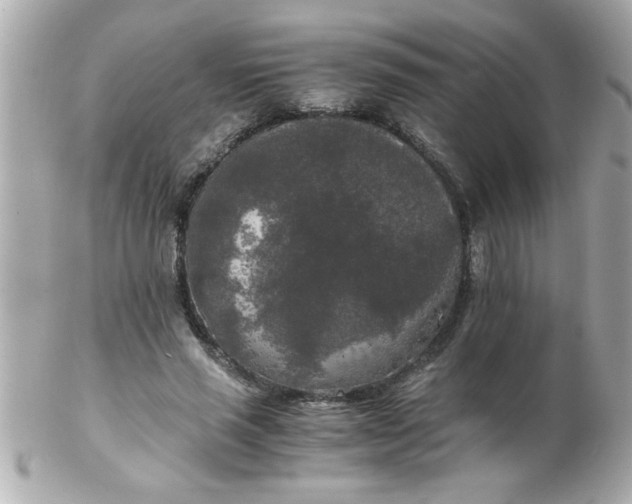 X0000102300637200808152018
