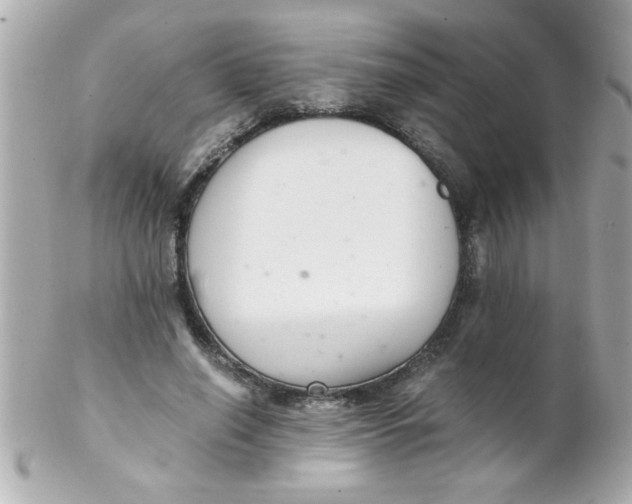 X0000102300638200808152018