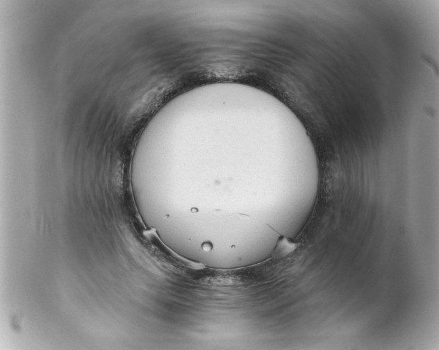 X0000102300639200808152019
