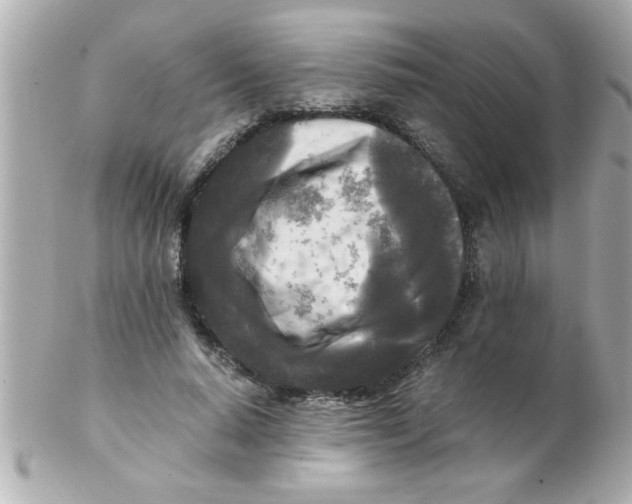 X0000102300640200808152019