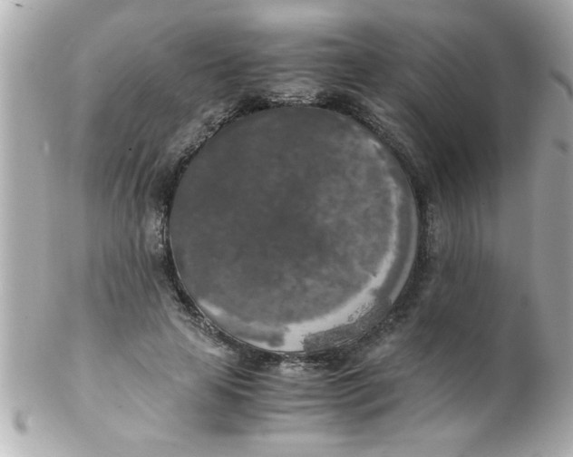 X0000102300641200808152019