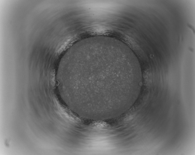 X0000102300642200808152019