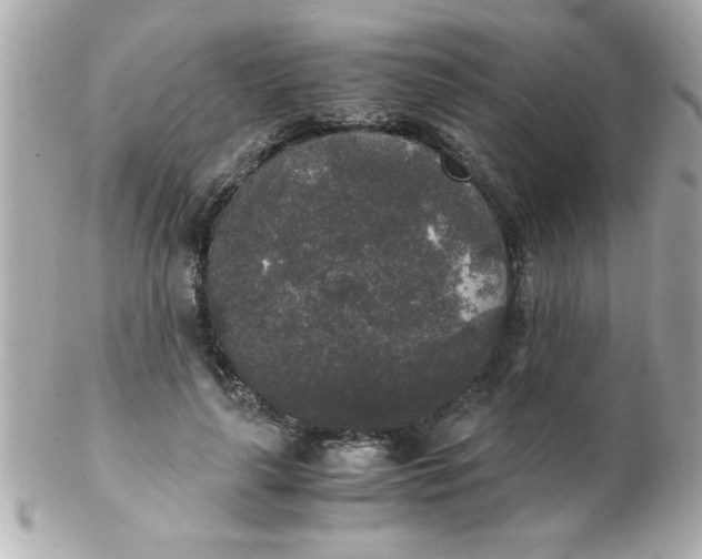 X0000102300643200808152019