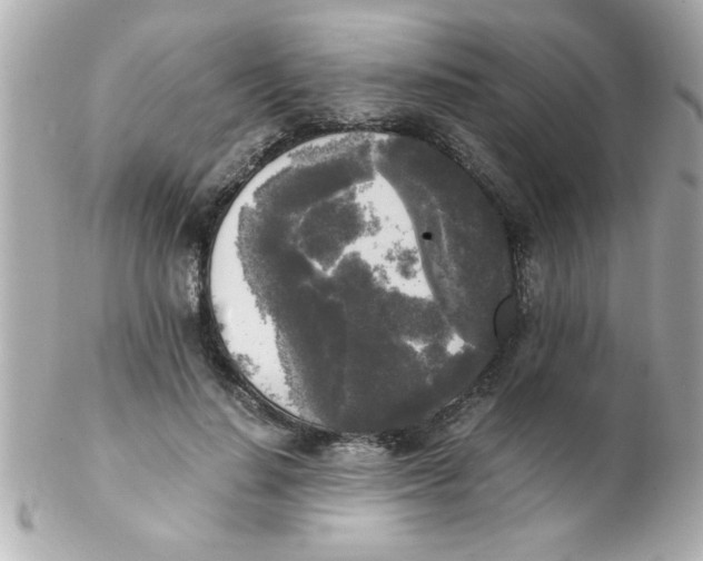 X0000102300644200808152019