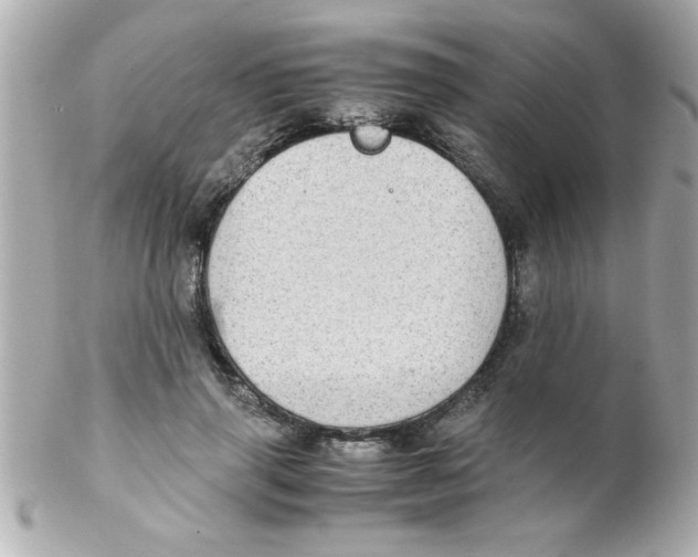 X0000102300645200808152019