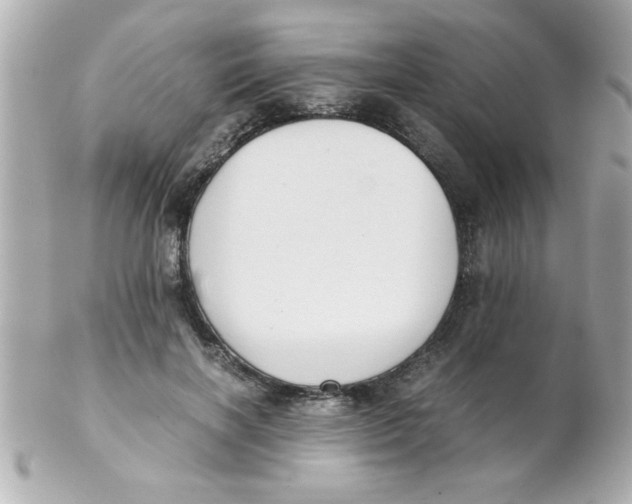 X0000102300646200808152019