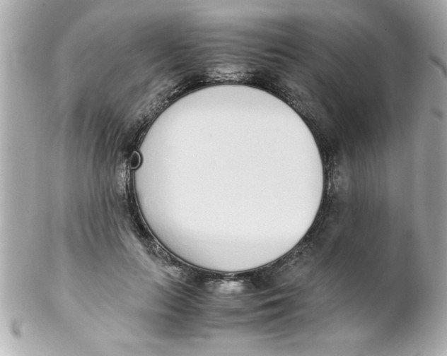 X0000102300647200808152019