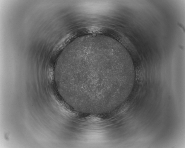 X0000102300648200808152019
