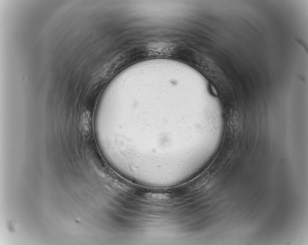 X0000102300649200808152019