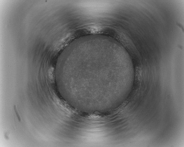 X0000102300650200808152019