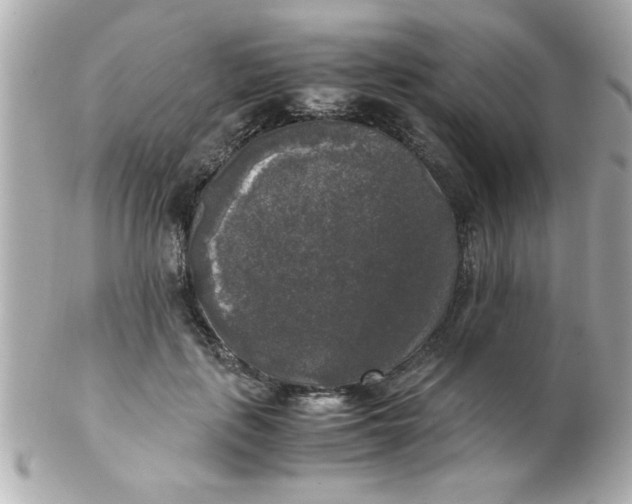X0000102300651200808152019